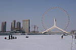 瑞雪摩天轮
