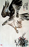 雄鹰