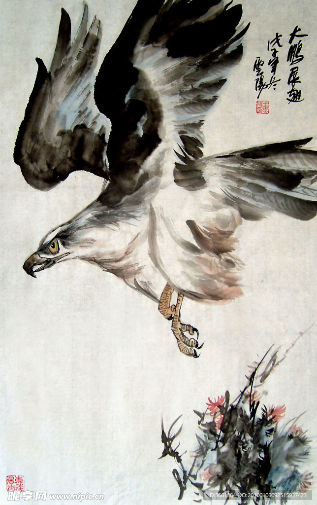 雄鹰