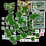 园林植物平面素材彩图
