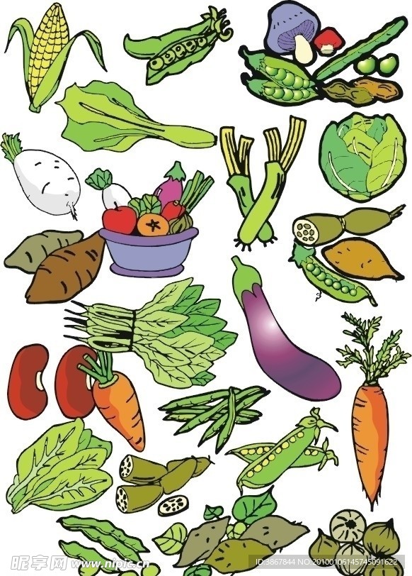 矢量蔬菜合辑（1）