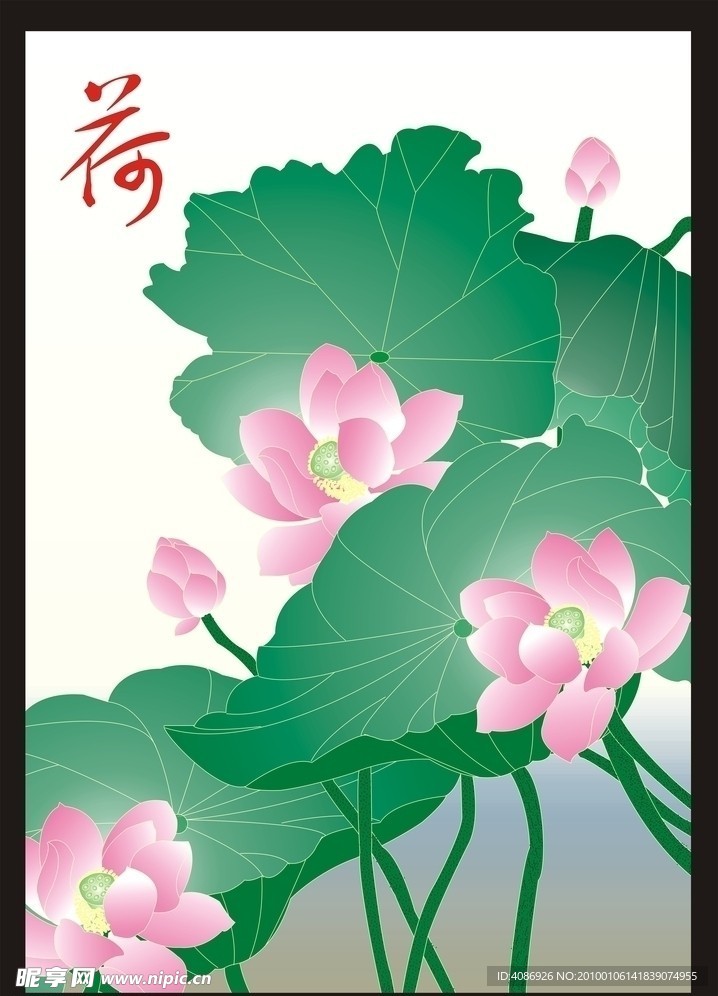 荷花