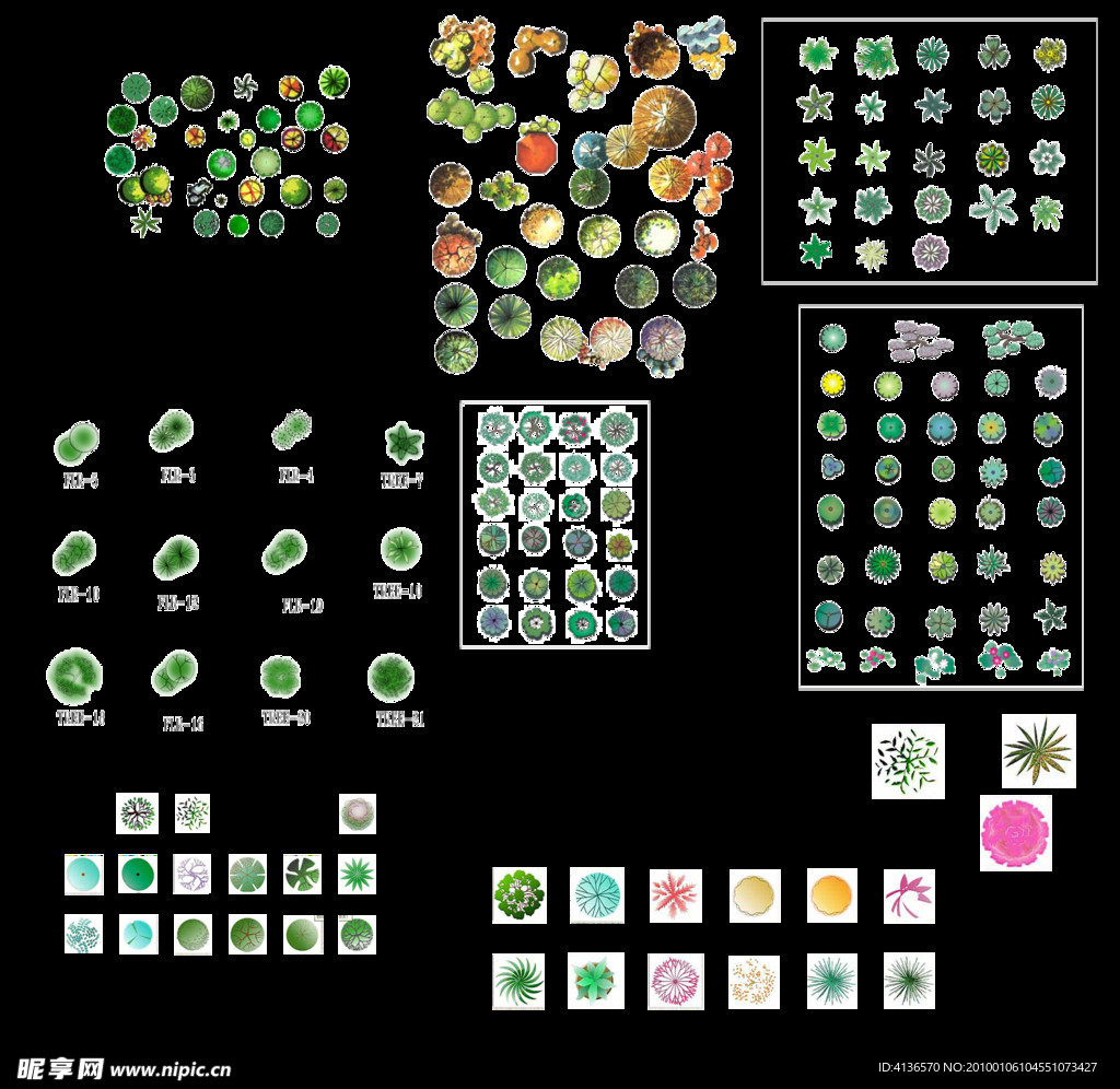 园林植物平面素材