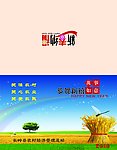 贺卡外页