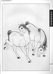 工笔画马10