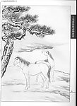 工笔画马42
