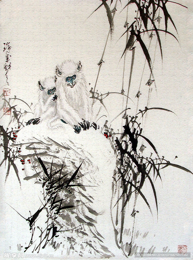 白猴