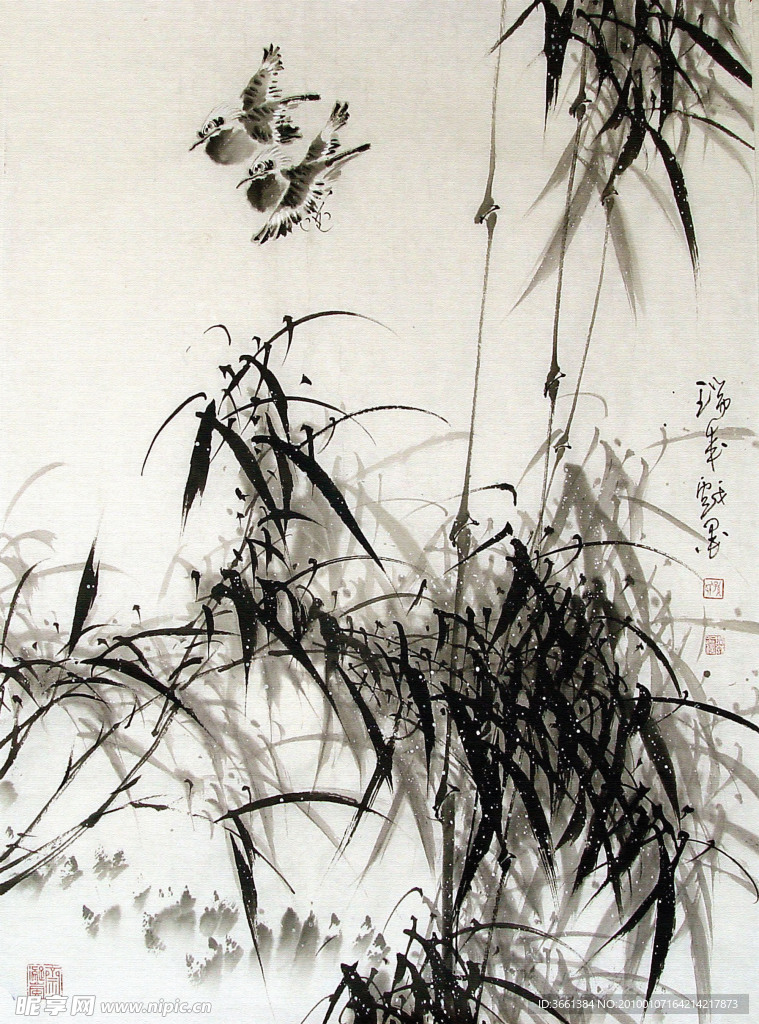 鸳鸯