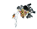 水墨昆虫6