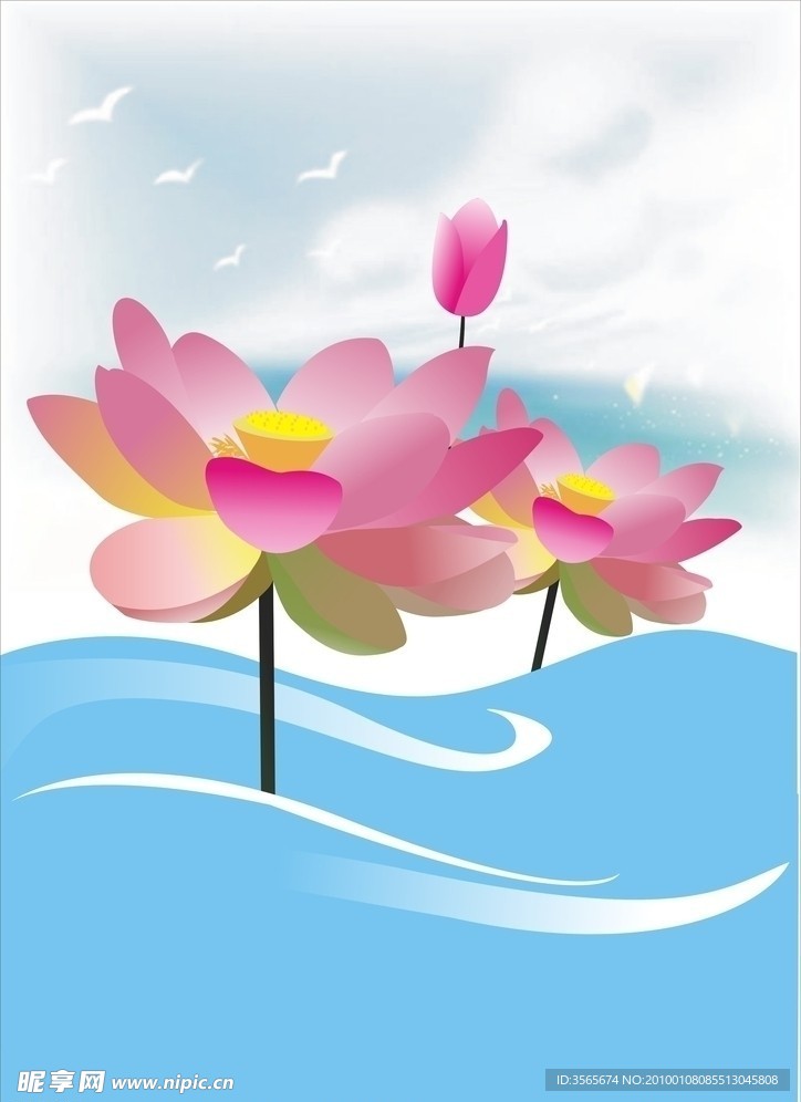 荷花