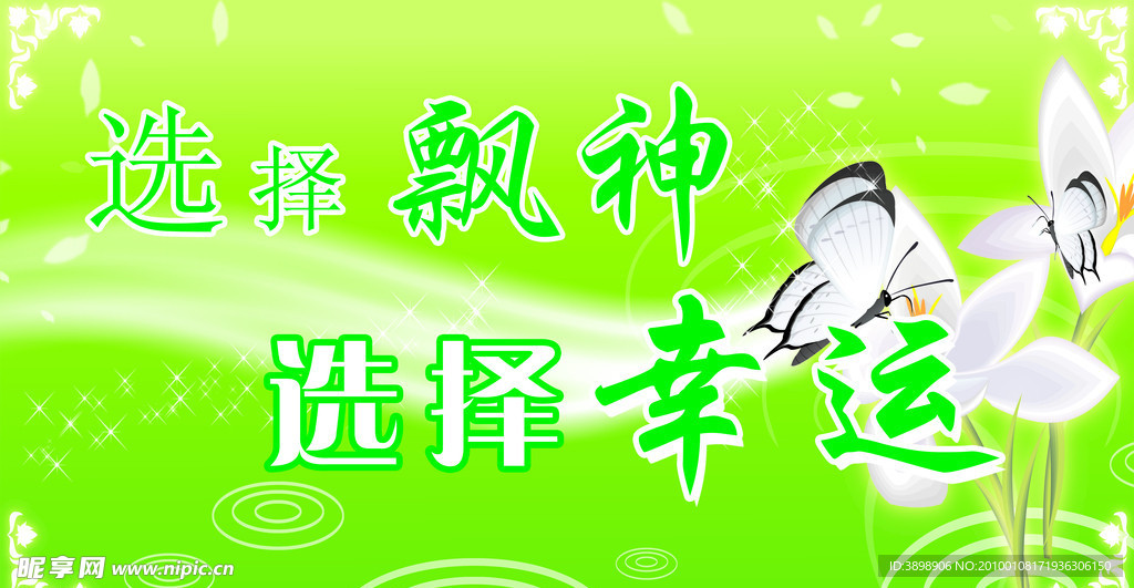 蝴蝶 花