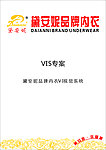 内衣VI设计（37页）