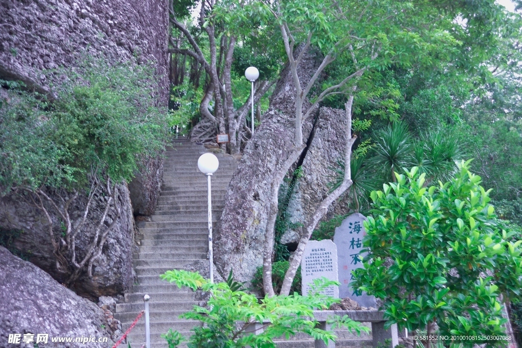 风景