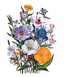 花卉油画30 (50厘米 X 60厘米)
