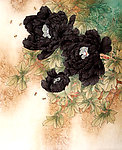 墨玉