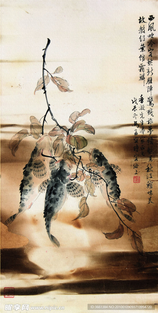 绘画鱼咬树枝