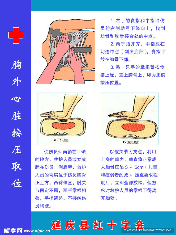 胸外心脏按压取位