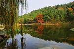 香山静翠湖