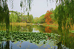 香山静翠湖