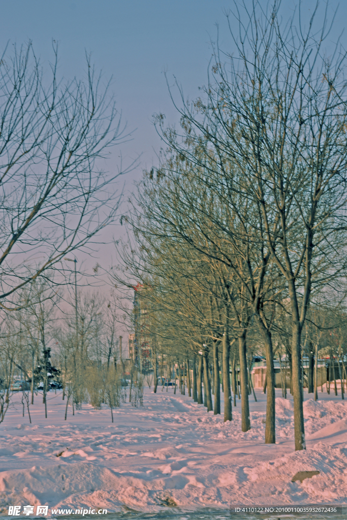 白雪映夕阳