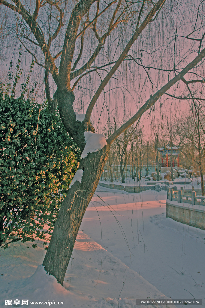 白雪映夕阳