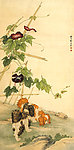 牵牛花