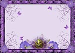 紫色花卉蝴蝶照片模版