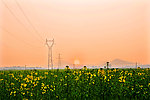 美丽新农村