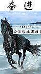 奋进