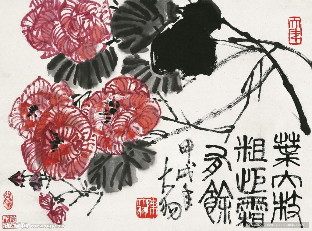 花鸟
