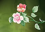 花赏友5