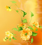 花赏友3