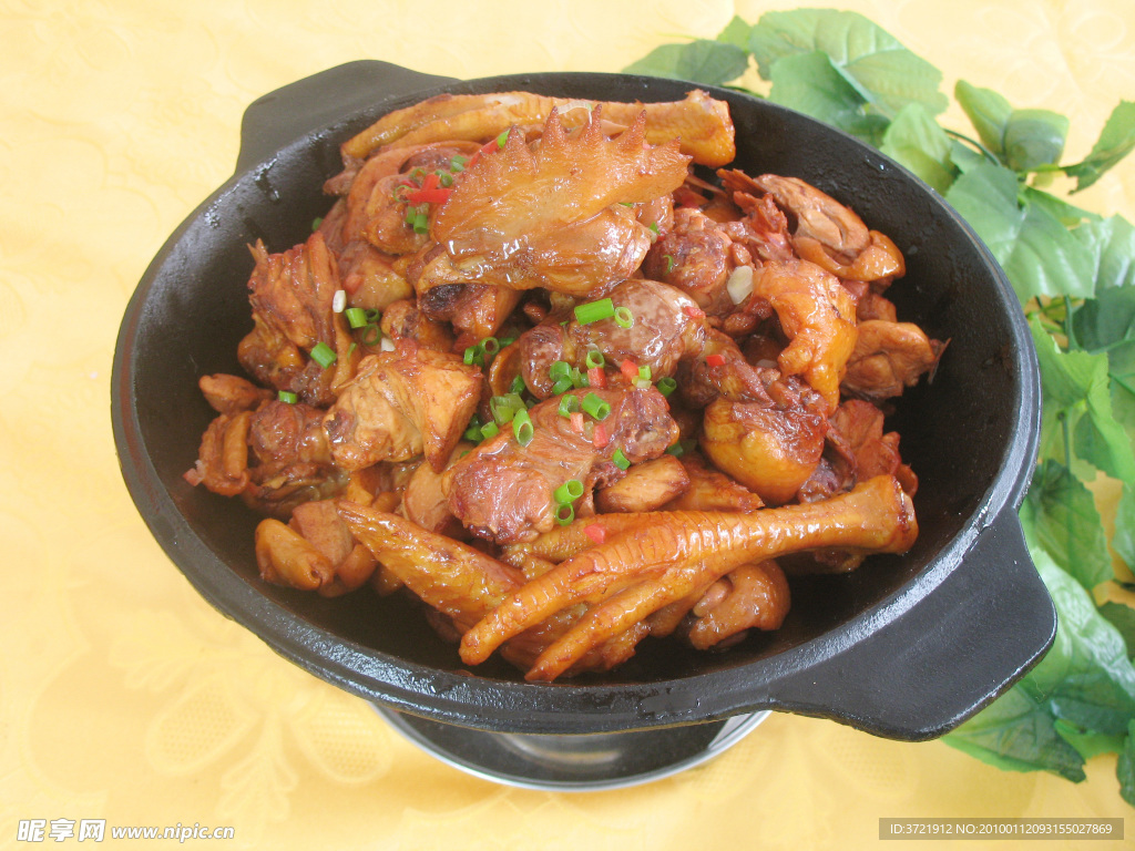 干锅红腹锦鸡