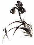 水墨兰花