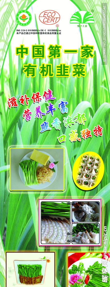 中国第一家有机韭菜 有机食品 有机 韭菜 绿色