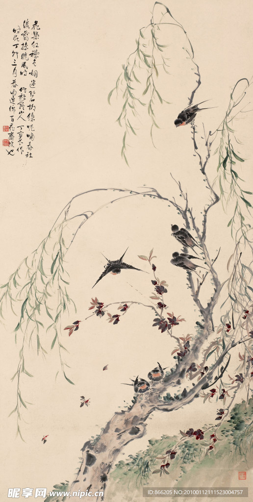 花鸟