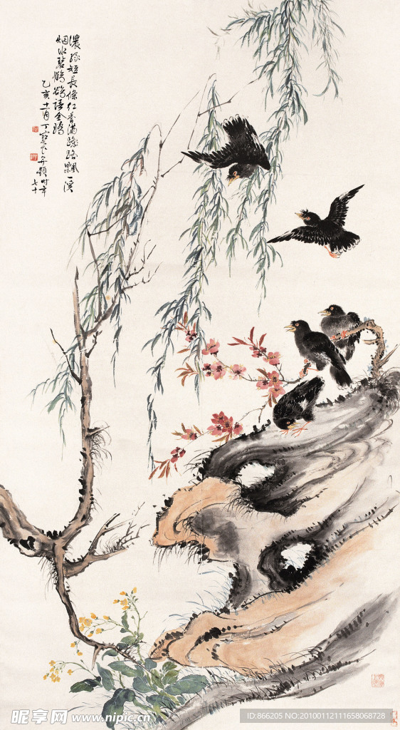 花鸟