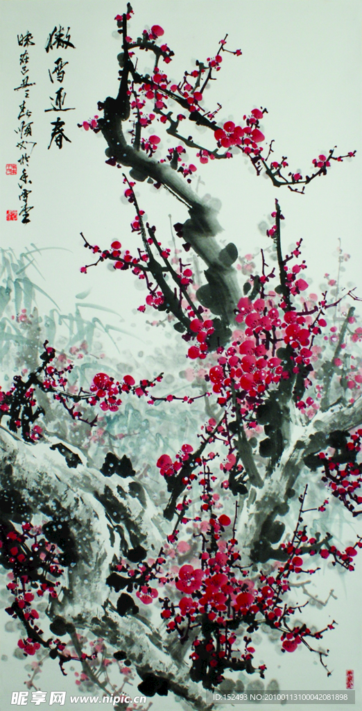 傲雪迎春