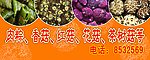 香菇广告