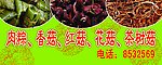 香菇广告