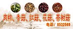 香菇广告