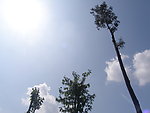 阳光