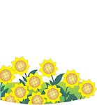 葵花