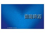 啤酒(8页)