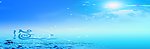 海恋之歌