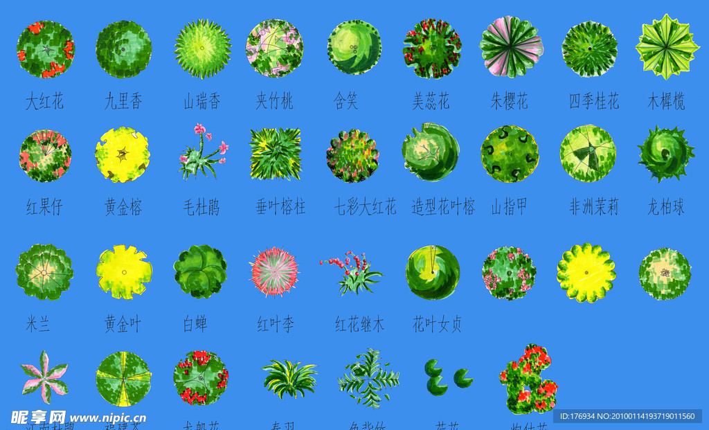 植物图例