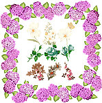 百花图6