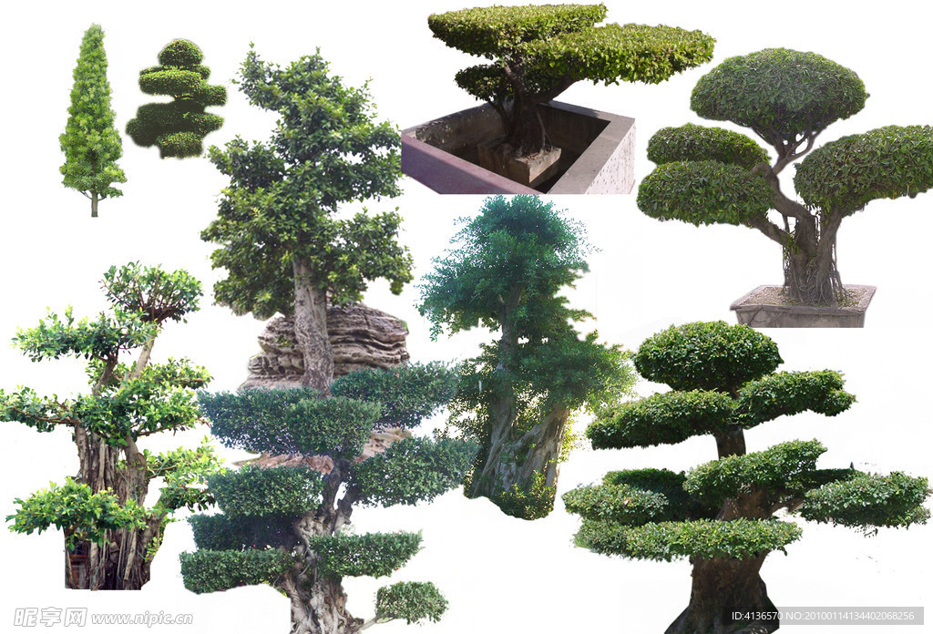 盆景园林素材
