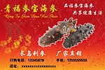 海参