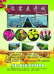 花卉城简介